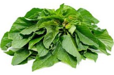 Amaranth Leaves 